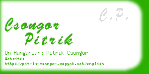 csongor pitrik business card